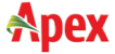 Apex